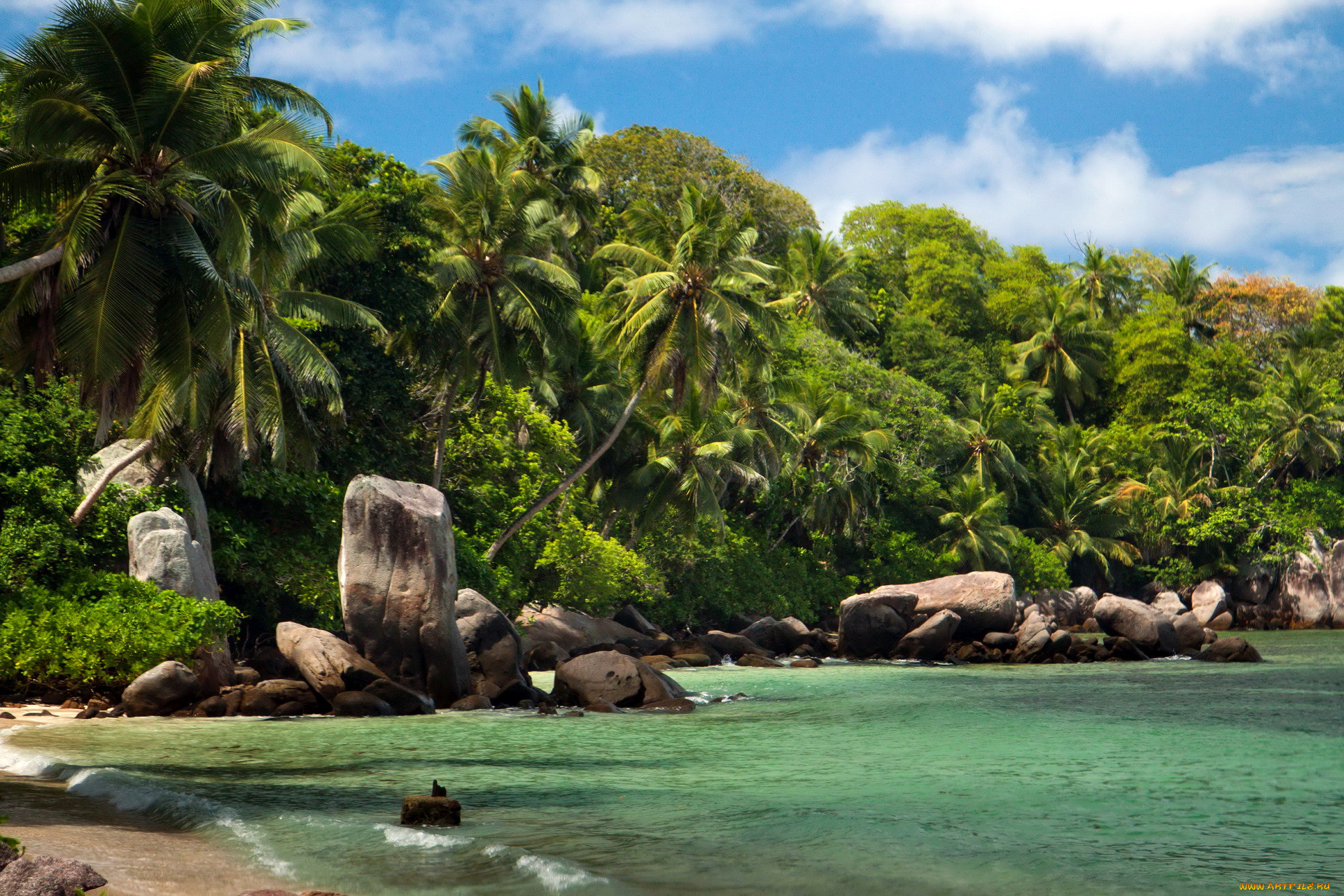 Экзотическая природа. Сейшелы природа. Остров Муайен Сейшелы. Национальный парк Морн Сейшелы. Парадиз остров Карибского моря.